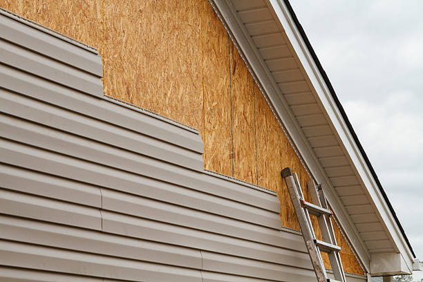 Professional Siding Repair technician working in Medina, OH